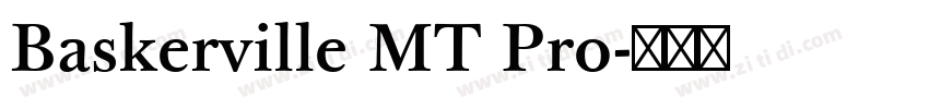 Baskerville MT Pro字体转换